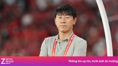Shin Tae-yong Desillusioniertes Indonesien