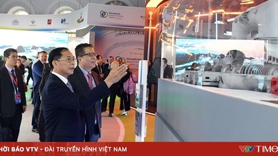 Phó Thủ tướng Bùi Thanh Sơn dự Phiên toàn thể Diễn đàn Tuần lễ năng lượng Nga