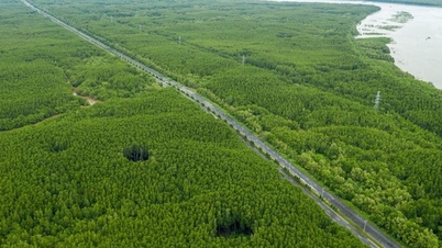 Thêm chính sách để 'rộng đường' cho 'xanh hóa' công trình, giao thông