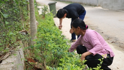 Nông dân đồng lòng, nông thôn khởi sắc