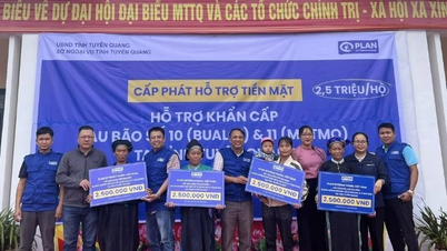 Plan International Việt Nam hỗ trợ khẩn cấp người dân Tuyên Quang khắc phục hậu quả mưa lũ
