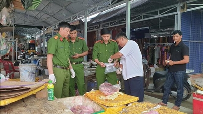 Peraturan mengenai penalti pentadbiran bagi pelanggaran dalam bidang perubatan veterinar.