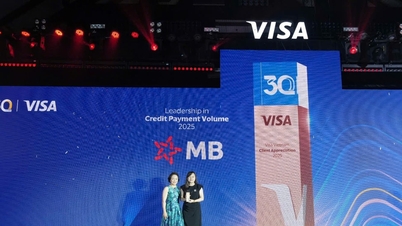 MB ទទួលបានពានរង្វាន់ដ៏មានកិត្យានុភាពចំនួនបួនពី Visa