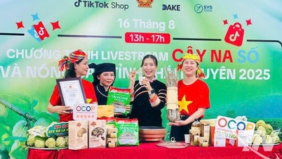 Thai Nguyen vise à figurer parmi les trois premiers utilisateurs nationaux de noms de domaine « .vn »