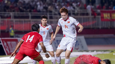 Đội tuyển Việt Nam: Sau chiến thắng là...