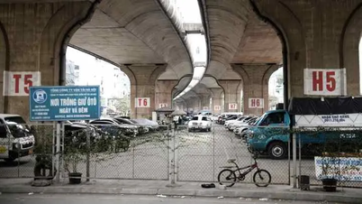 Gjennomgang av lisenser og parkeringsforvaltning