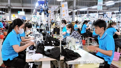 Tvåsiffrigt tillväxtmål visar Dong Nais mod och status