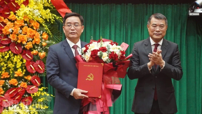 Đồng chí Nguyễn Đình Trung được chỉ định làm Bí thư Thành ủy Huế
