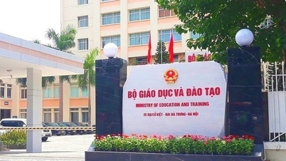 ហេតុអ្វីបានជាយើងមិនអាចចាប់ផ្តើមការរៀបចំសាកលវិទ្យាល័យភ្លាមៗ?