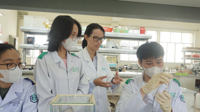 Ngày Phụ nữ Việt Nam 20/10: Nữ Tiến sỹ trẻ với hơn 60 công bố quốc tế