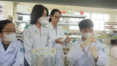 Vietnamese Women's Day October 20: Young female PhD with more than 60 international publications
