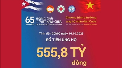 O programa de apoio ao povo cubano terminou na noite de 16 de outubro, atingindo a marca de mais de 555 bilhões de VND.
