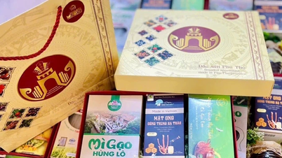 Forbedre OCOP-produkter – Når den innfødte kvintessensen vekkes