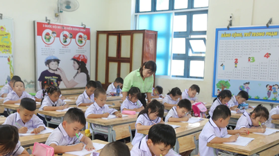 Куанг Трі вимагає перевірки та нагляду за збором доходів для забезпечення публічності та прозорості.