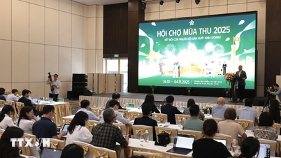 Târgul de toamnă 2025: Ce este atractiv la secțiunea „Chintesența culturii vietnameze”?
