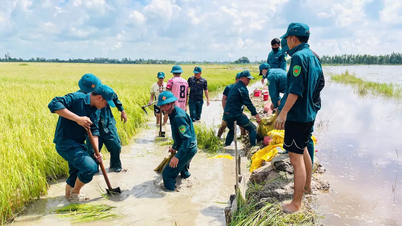 ទឹកជំនន់នៅ Dong Thap Muoi៖ ជួយប្រជាជន "សង្គ្រោះ" ស្រូវ និងបន្លែដែលលិចលង់