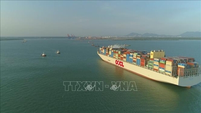 Пропозиція щодо створення сприятливих умов для прийому іноземних гостей у портах району Кай Меп - Тхі Вай