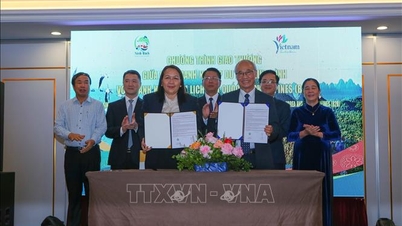 Promoción de la cooperación en el desarrollo del turismo en Vietnam con socios internacionales