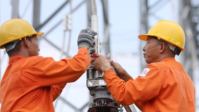 電気は依然として10%のVATの対象であり、財務省は「単一価格」にできない理由を説明