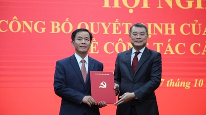 សមមិត្ត Nguyen Van Phuong ត្រូវបានផ្ទេរ និងតែងតាំងឱ្យកាន់តំណែងជាលេខាគណៈកម្មាធិការបក្សខេត្ត Quang Tri។