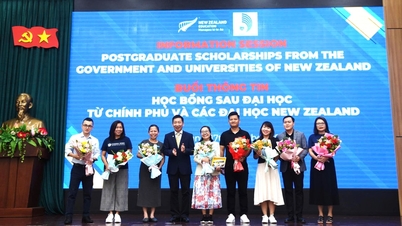 Chia sẻ kinh nghiệm tiếp cận học bổng của Chính phủ New Zealand