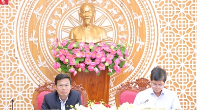 لام ڈونگ نے Xuan Huong جھیل کی زمین کی تزئین کی منصوبہ بندی میں خیالات کا تعاون کیا، جس کا مقصد ہم آہنگی سے ترقی کرنا ہے