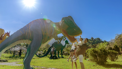 यांग बे जंगल के बीच में 'प्रकृति कक्षा'