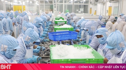 Podniky z Ha Tinh zrychlují export a usilují o dosažení cíle 2,5 miliardy USD