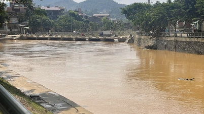Os níveis de água dos rios e riachos em algumas localidades diminuem rapidamente - Jornal Eletrônico Cao Bang