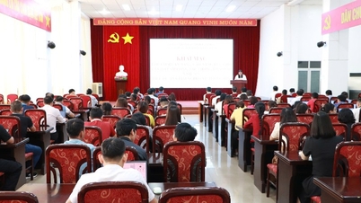 Training to improve capacity for staff doing grassroots information work