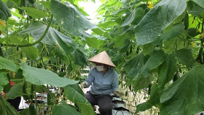 Lac Thuy фокусируется на экономическом развитии, создавая устойчивый доход.