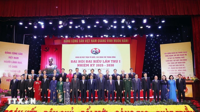 Đảng bộ Mặt trận Tổ quốc, các đoàn thể Trung ương triển khai nhiệm vụ trọng tâm
