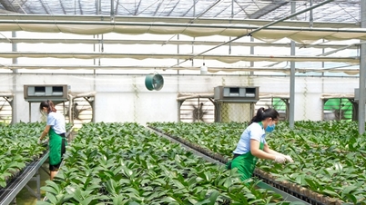 Building new rural areas in Hanoi: Towards urban-ecological agriculture and modern rural areas