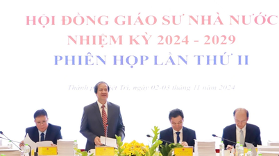 Hai lãnh đạo thuộc Bộ Y tế được xét tặng học hàm Giáo sư, Phó Giáo sư