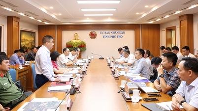 EVNNPT y la provincia de Phu Tho aceleran la implementación de proyectos urgentes de transmisión de energía para atender la importación de electricidad de Laos.