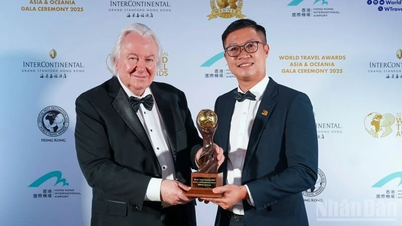 Выиграв ряд наград на WTA 2025, Vietnam Airlines подтверждает свою позицию ведущего бренда региона.