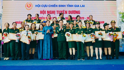 Gia Lai homenageia 105 veteranas excepcionais no período de 2020-2025