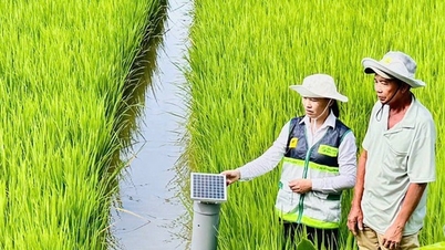 Chuẩn hóa hệ thống khuyến nông theo mô hình tinh gọn, liên thông, thống nhất