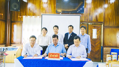 Truong Thanh 지역의 농산물과 OCOP 제품을 Can Tho ECO Resort에 연결합니다.