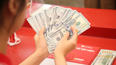 ホーチミン市への送金は約80億ドル