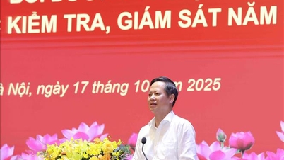 Церемония закрытия интенсивного курса обучения по инспекции и надзору 2025 года