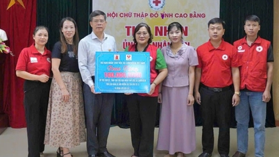Vietnamesische Vereinigung der Opfer von Agent Orange/Dioxin unterstützt Familien der Opfer bei der Bewältigung von Naturkatastrophen - Cao Bang Electronic Newspaper