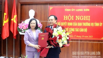 Công bố quyết định của Ban Thường vụ Tỉnh ủy về công tác cán bộ tại Ban Nội chính Tỉnh ủy