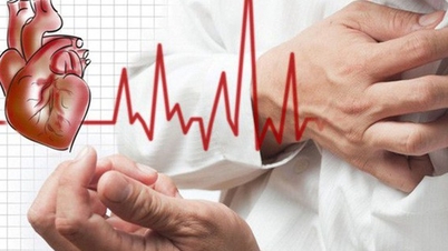 New directions in the prevention of cardiovascular diseases and stroke
