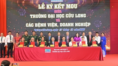 500 ilmuwan dan 2.000 delegasi menghadiri konferensi ilmiah yang diselenggarakan oleh Universitas Cuu Long.