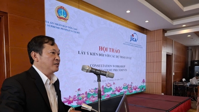 Tòa án nhân dân tối cao lấy ý kiến với 20 dự thảo án lệ