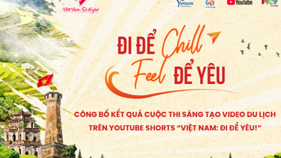 Dezvăluirea campionului concursului din Vietnam „Go to Love!”, cu milioane de vizualizări