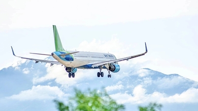 Bamboo Airways khôi phục hạng thẻ cao nhất cho gần 3 triệu hội viên Bamboo Club