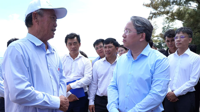 Proposta para separar o conteúdo de compensação e reassentamento do projeto de energia nuclear de Ninh Thuan em um projeto independente