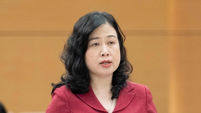 Menteri Kesehatan Dao Hong Lan menjelaskan tentang 'biaya dasar rumah sakit gratis'